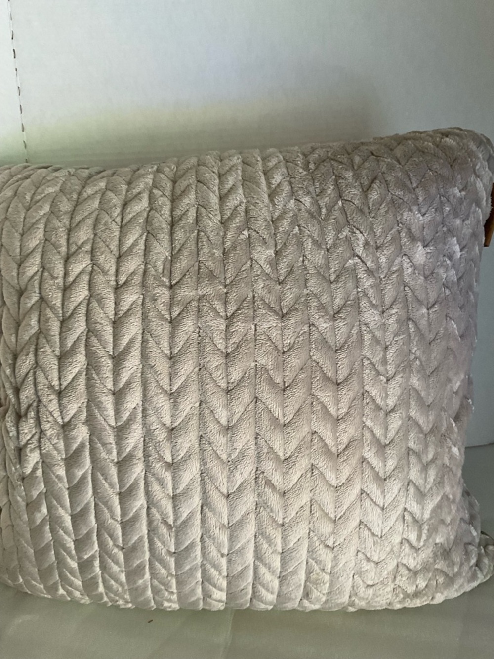 Koolaburra Braided Velvet Decorative Pillow - Cream